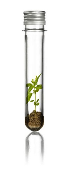 Venda de plásticos biodegradáveis